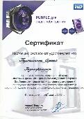 Сертификат WD Пархоменко С.А.