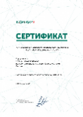 Сертификат партнера Kaspersky Lab